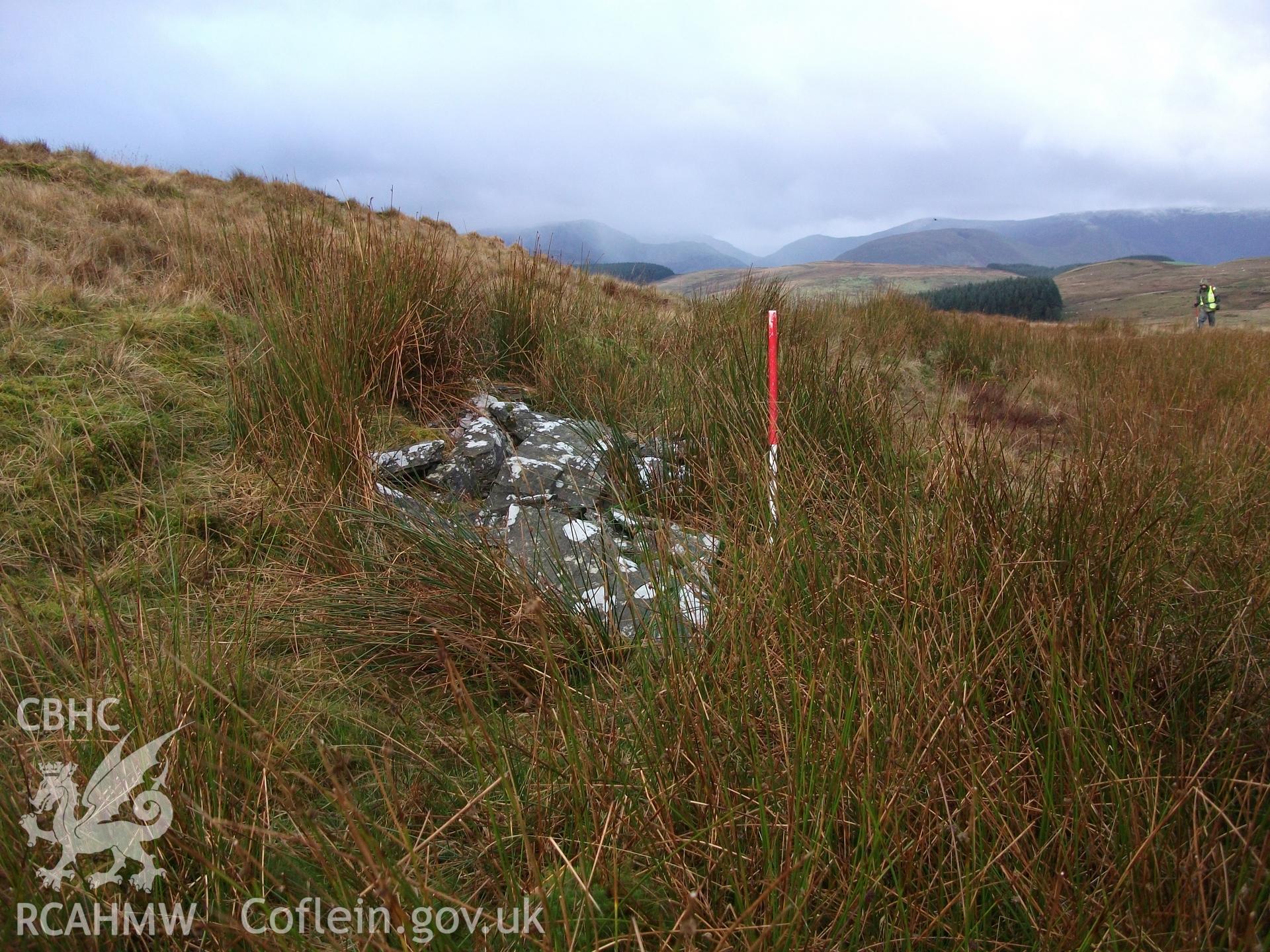 Collapsed remains of hut.