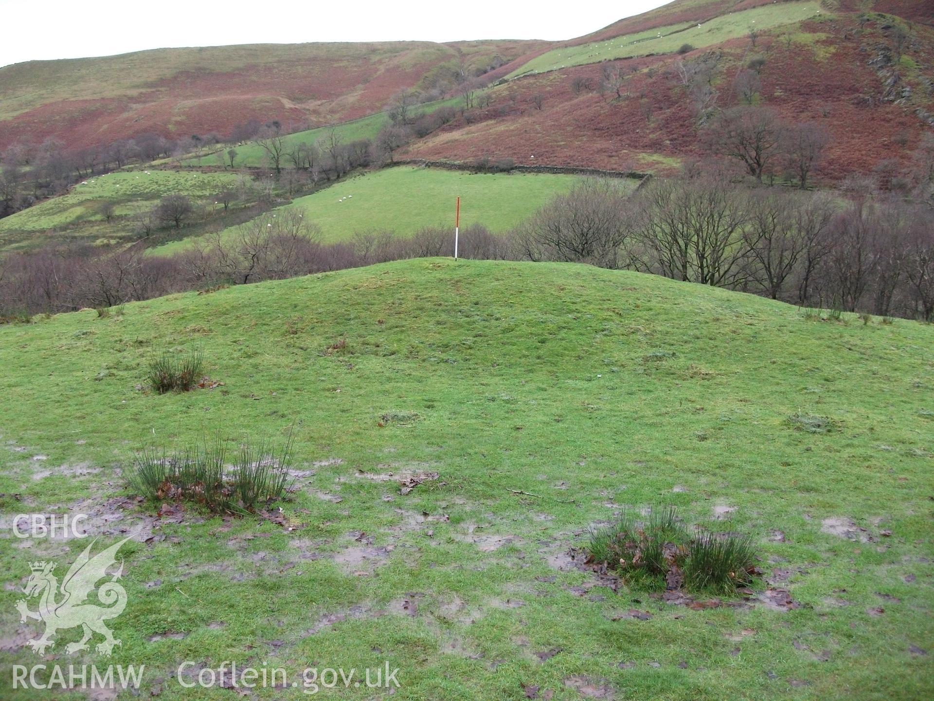 Mound or clearance cairn.