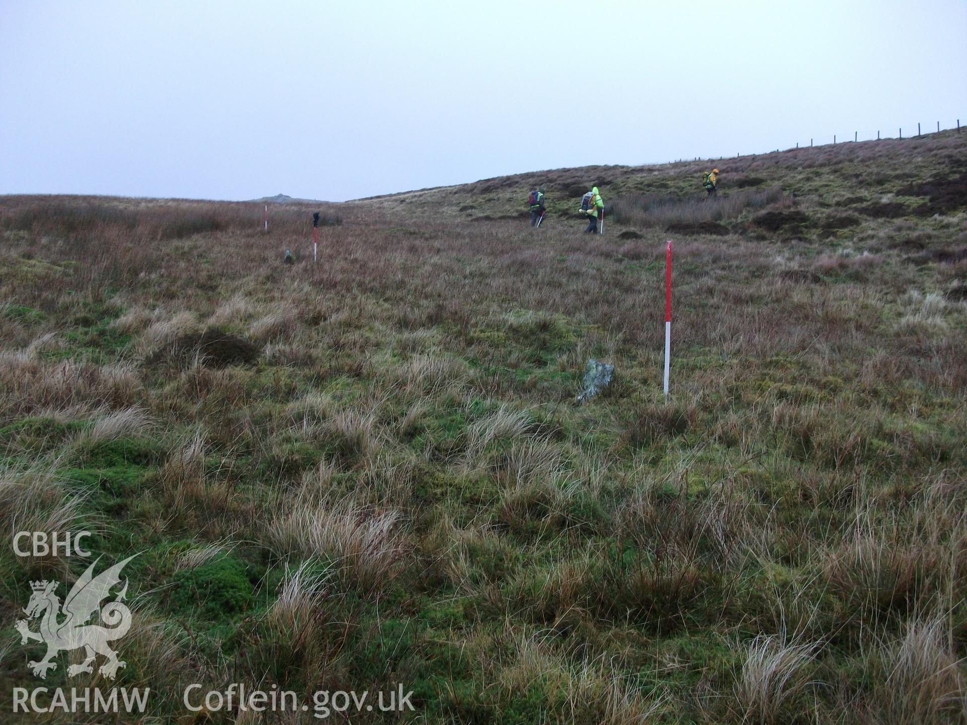 An alignment of three standing stones. The ranging rods mark the position of the stones.