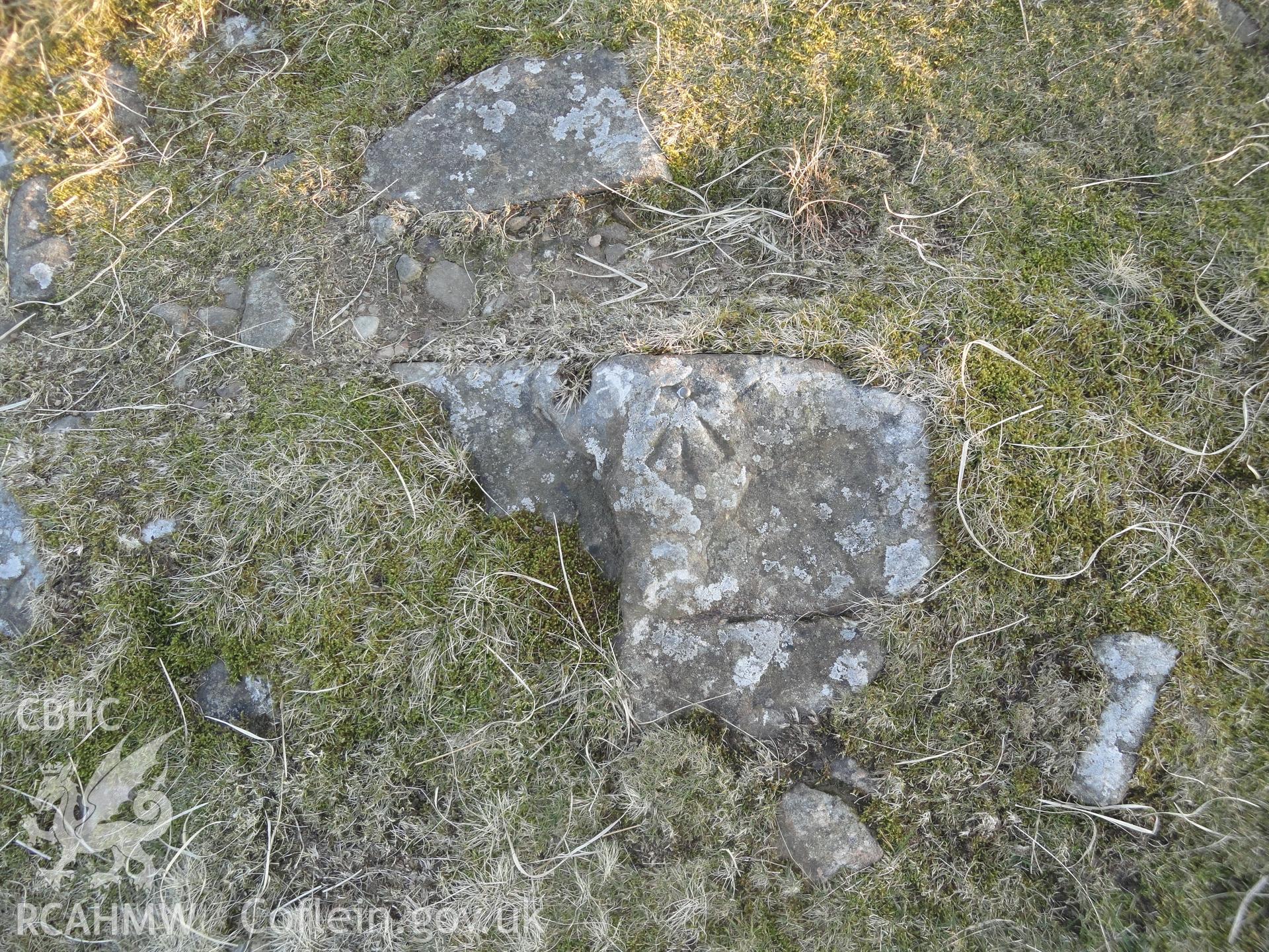 Benchmark, detail