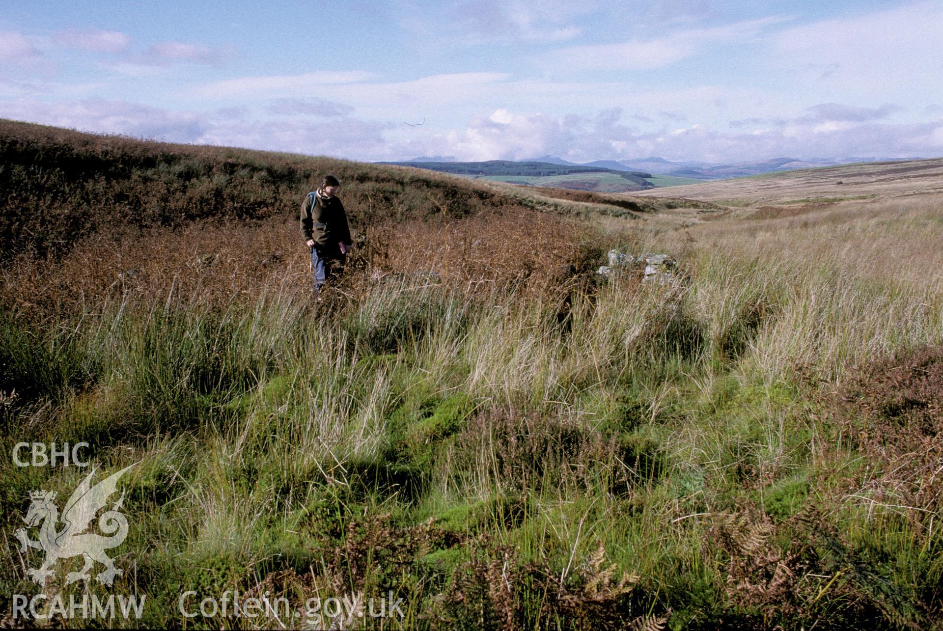 Photograph of Clochnant Sheepfold I from the east. Taken by R. Hankinson on 26/10/2004 during an upland survey undertaken by the Clwyd-Powys Archaeological Trust.