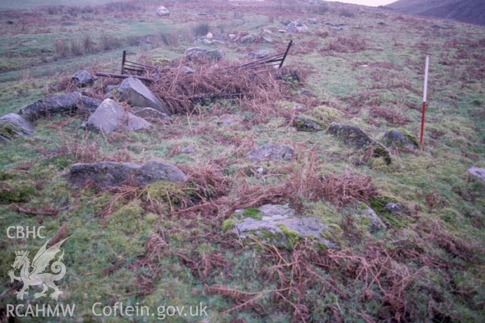 Photograph of Coed Llynor Long Hut I from the north-north-west. Taken by R. Hankinson on 05/01/2005 during an upland survey undertaken by the Clwyd-Powys Archaeological Trust.