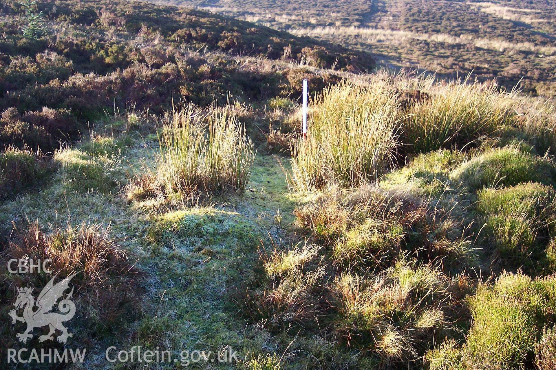 Photograph of Sportsman's Arms Shooting Butt IV taken from the west on 09/12/2004 by P. Kok during an Upland Survey undertaken by Oxford Archaeology North.