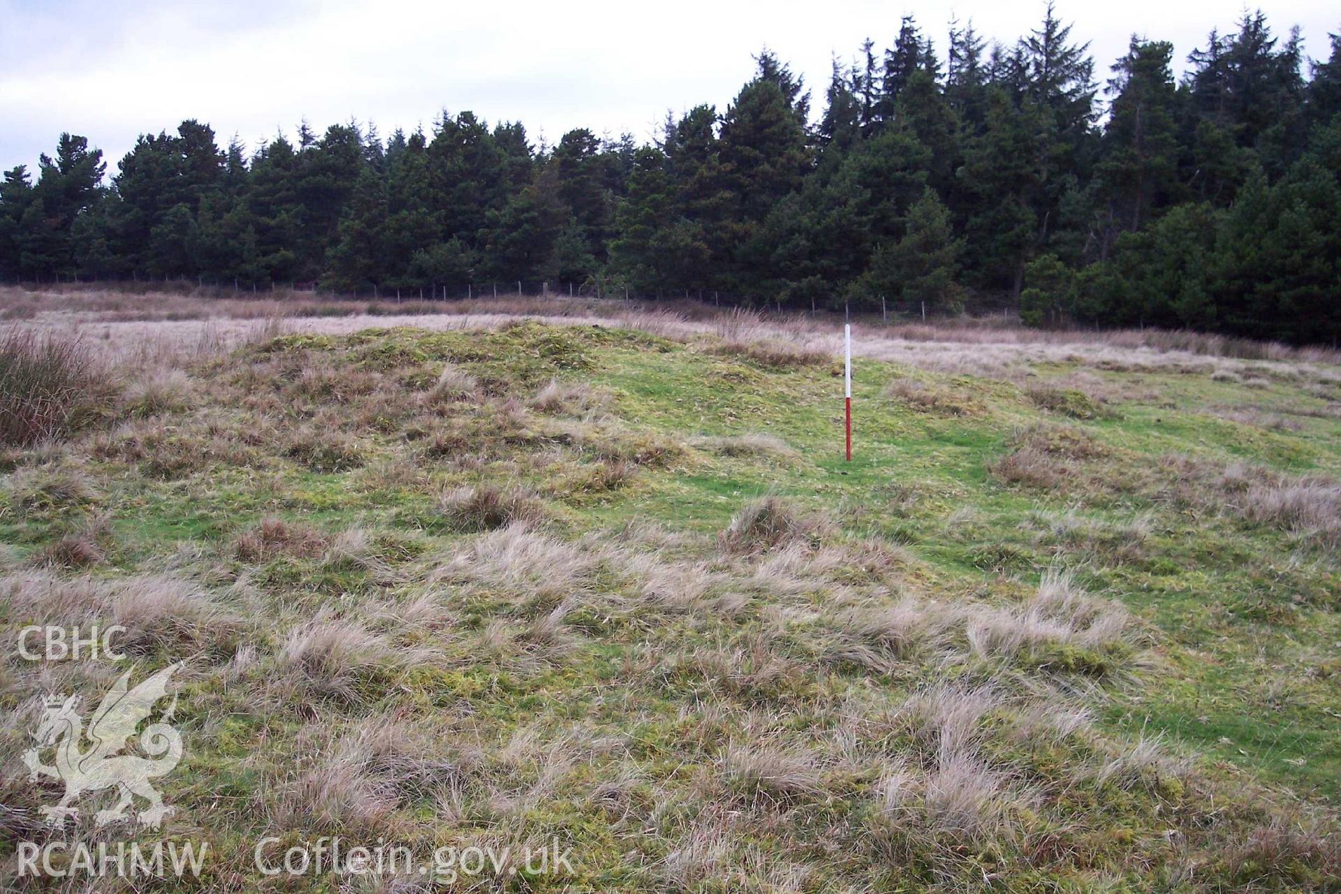 Photograph of Nant Merddyn Cairn taken from the north-west on 30/11/2004 by P. Kok during an Upland Survey undertaken by Oxford Archaeology North.