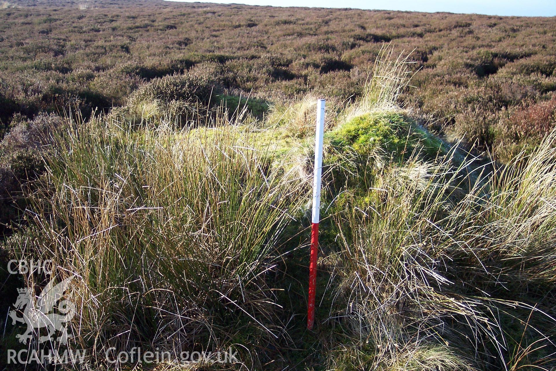 Photograph of Cwm-y-rhinwedd Shooting Butt IX taken from the north on 09/12/2004 by P. Kok during an Upland Survey undertaken by Oxford Archaeology North.