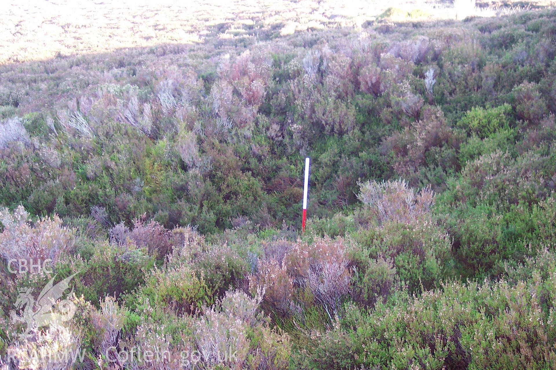 Photograph of Cwm-y-rhinwedd Quarry II taken from the south on 09/12/2004 by P. Kok during an Upland Survey undertaken by Oxford Archaeology North.