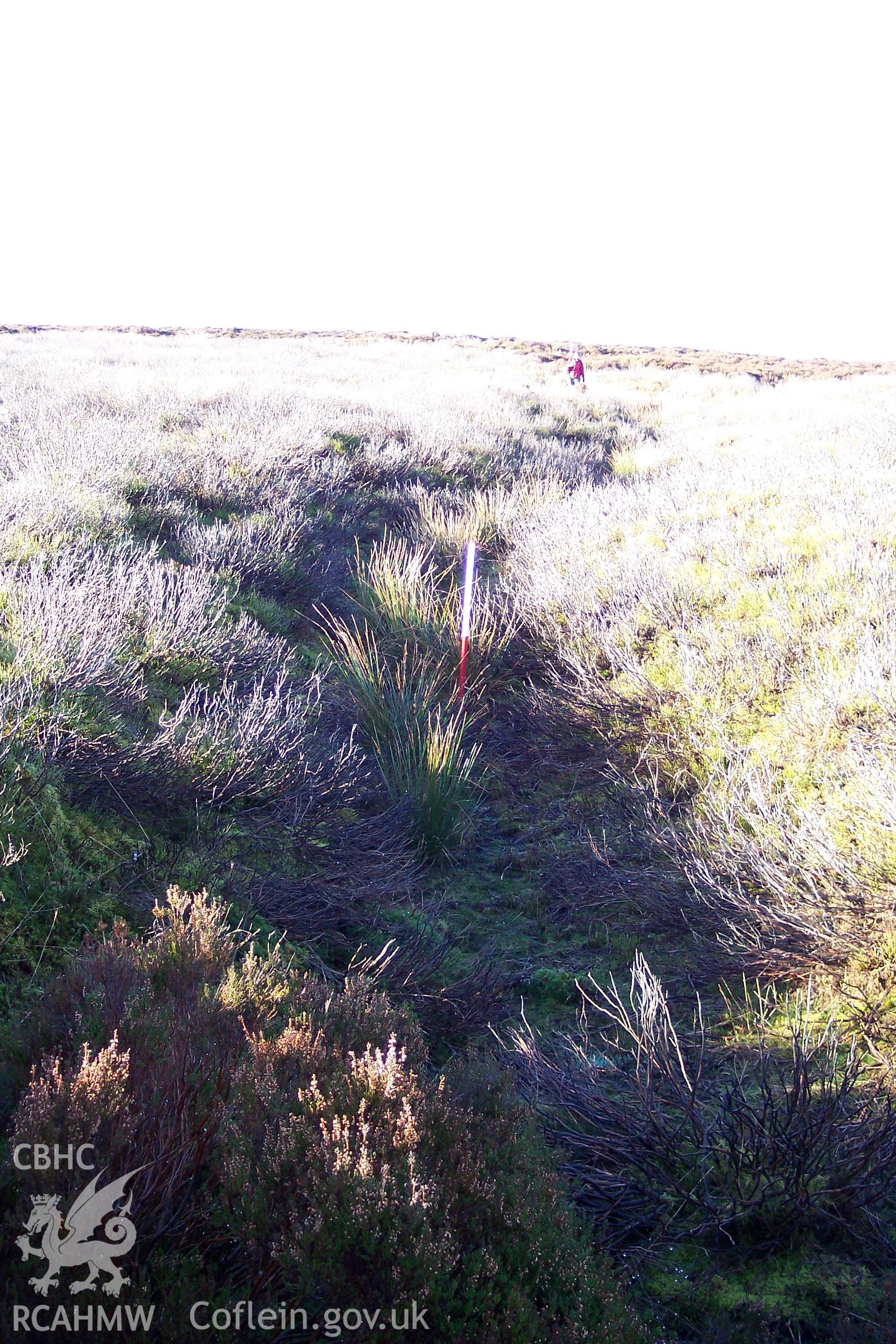 Photograph of Cefn Tan-y-graig Trackway I taken from the east on 02/12/2004 by P. Kok during an Upland Survey undertaken by Oxford Archaeology North.