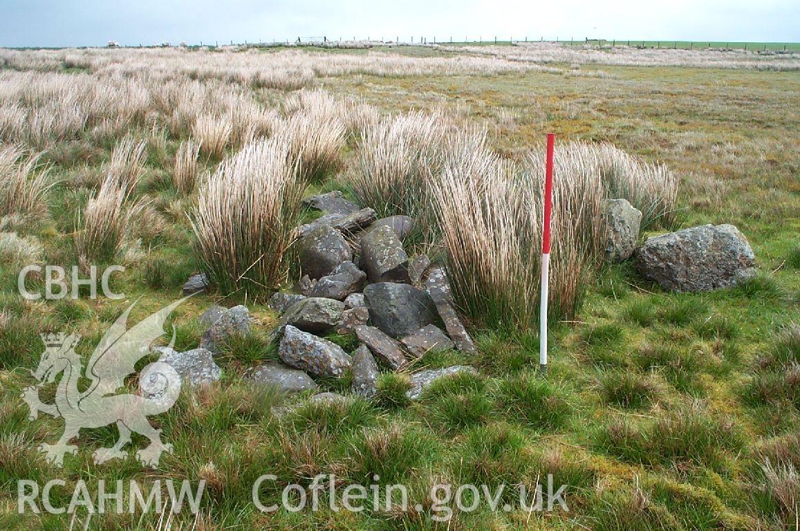 Digital photograph of Nant Cerrig-nadd Cairns taken on 27/05/2002 by Oxford Archaeology North during the Mynydd Hiraethog Upland Survey