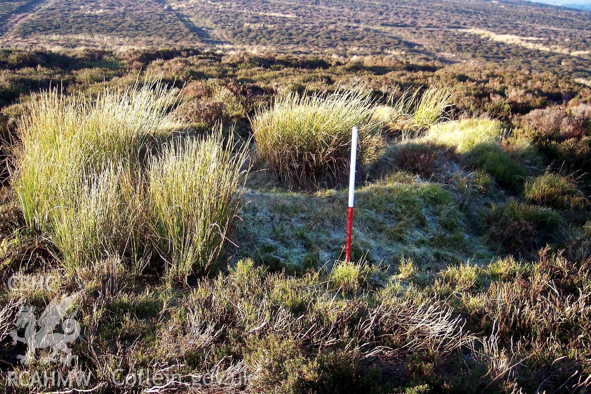 Photograph of Sportsman's Arms Shooting Butt III taken from the west on 09/12/2004 by P. Kok during an Upland Survey undertaken by Oxford Archaeology North.