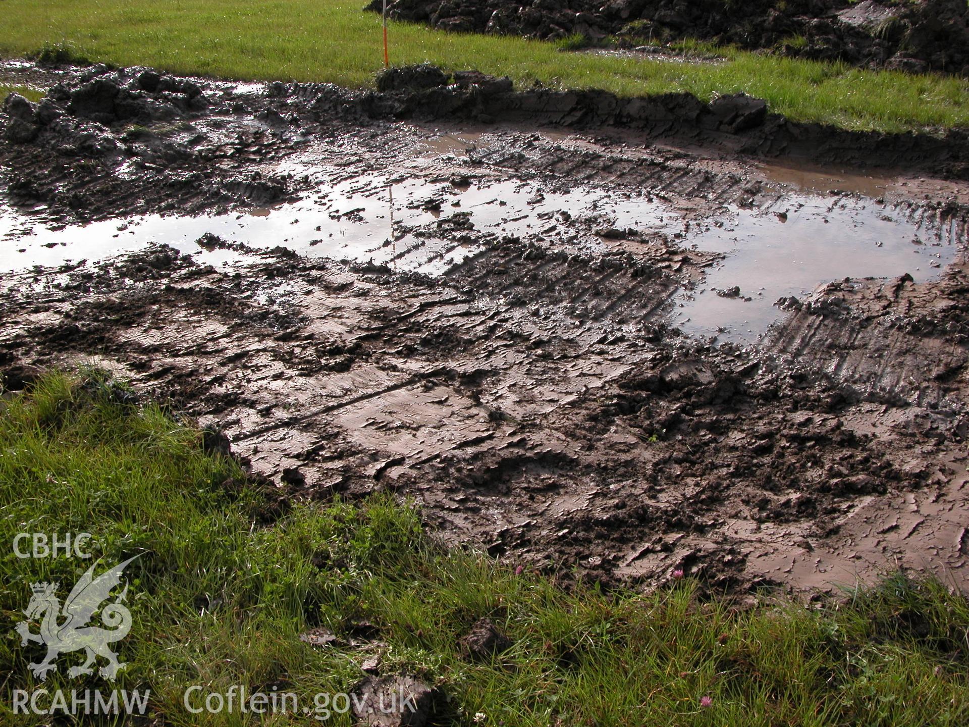 Colour digital photograph showing a mid-ex compound strip showing wet conditions, facing West.
