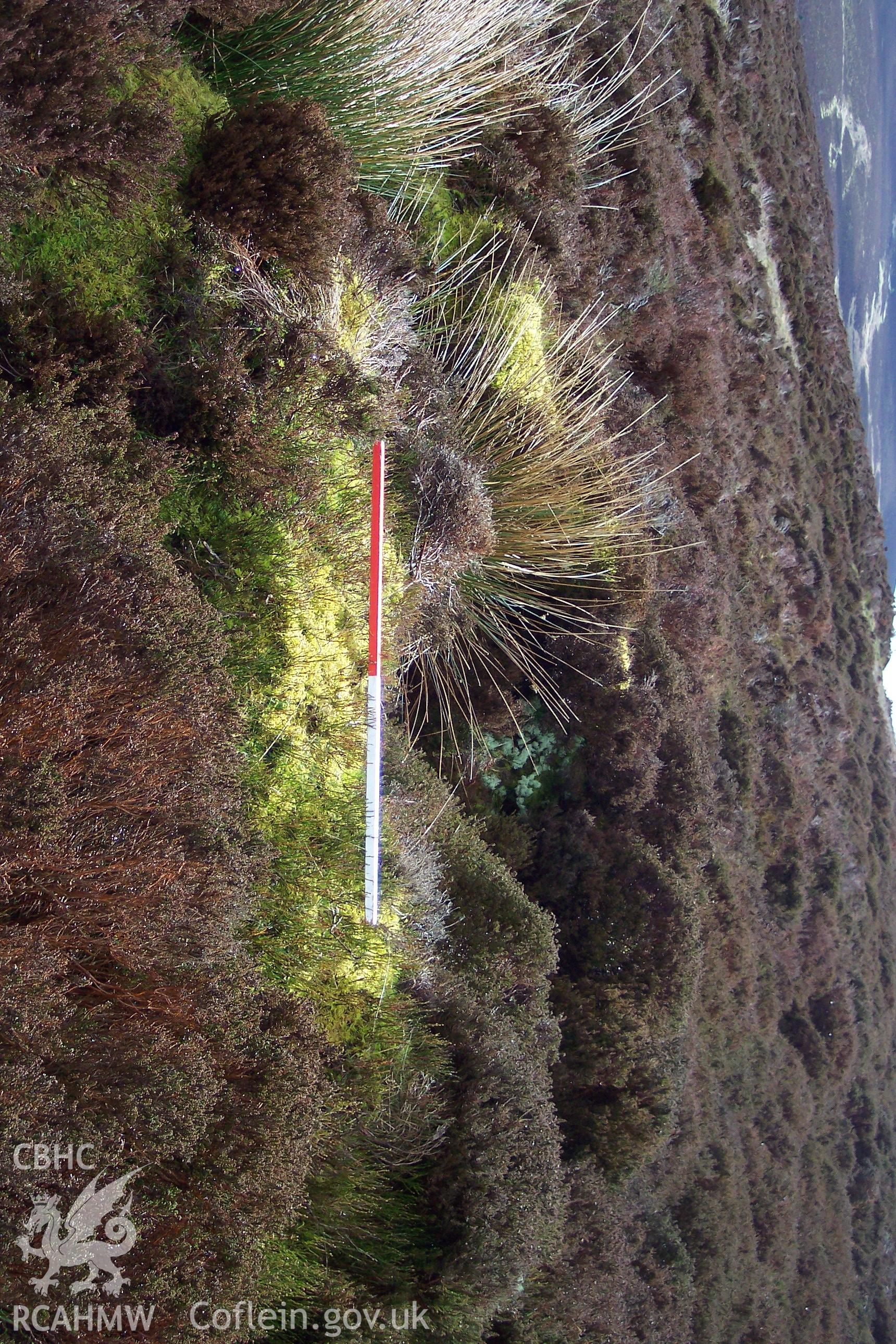 Photograph of Cynwyd Forest Shooting Butt XII taken from the east on 06/04/2005 by K. Blythe during an Upland Survey undertaken by Oxford Archaeology North.