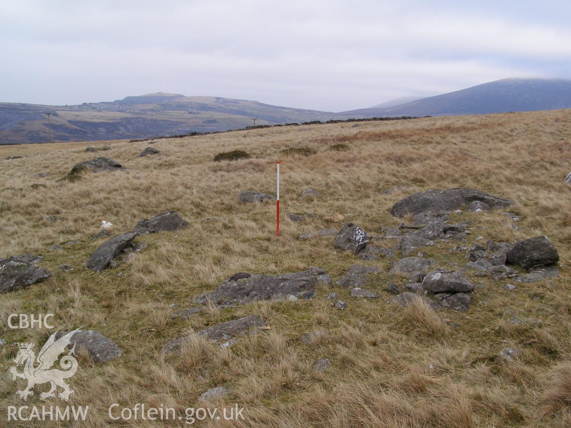 Photograph of Hut Circle III south east of Bryn-llidiard taken on 02/02/2006 by P.J. Schofield during an Upland Survey undertaken by Oxford Archaeology North.