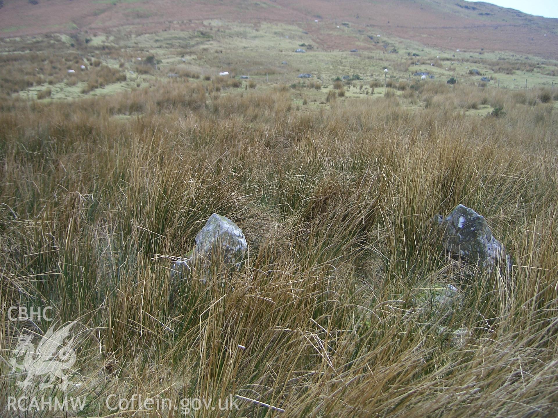 Photograph of Hut Circle II north west of Llyn-y-gader Quarry taken on 01/02/2006 by P.J. Schofield during an Upland Survey undertaken by Oxford Archaeology North.