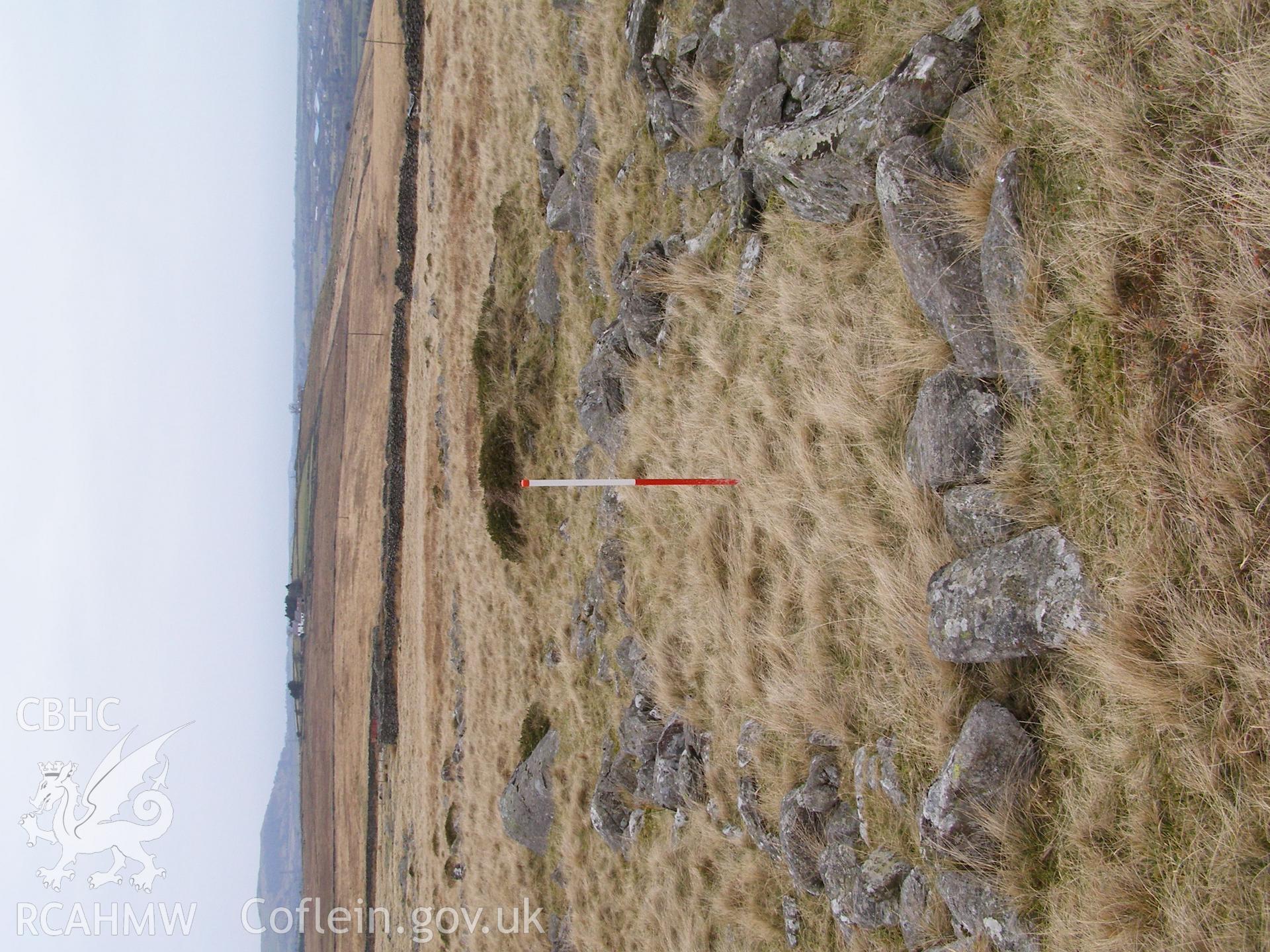 Photograph of Longhouse south east of Bryn-llidiard taken on 02/02/2006 by P.J. Schofield during an Upland Survey undertaken by Oxford Archaeology North.