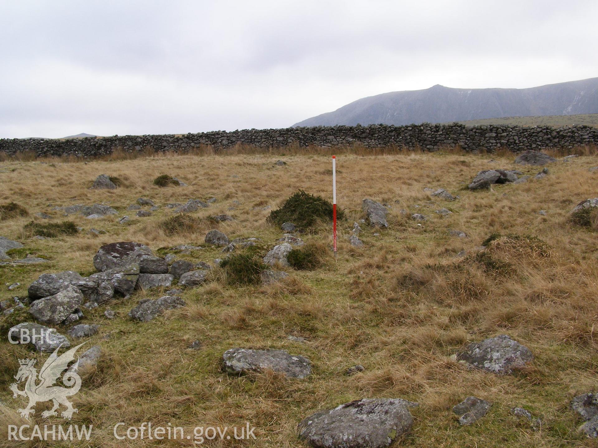 Photograph of Wall south east of Bryn-llidiard taken on 02/02/2006 by P.J. Schofield during an Upland Survey undertaken by Oxford Archaeology North.