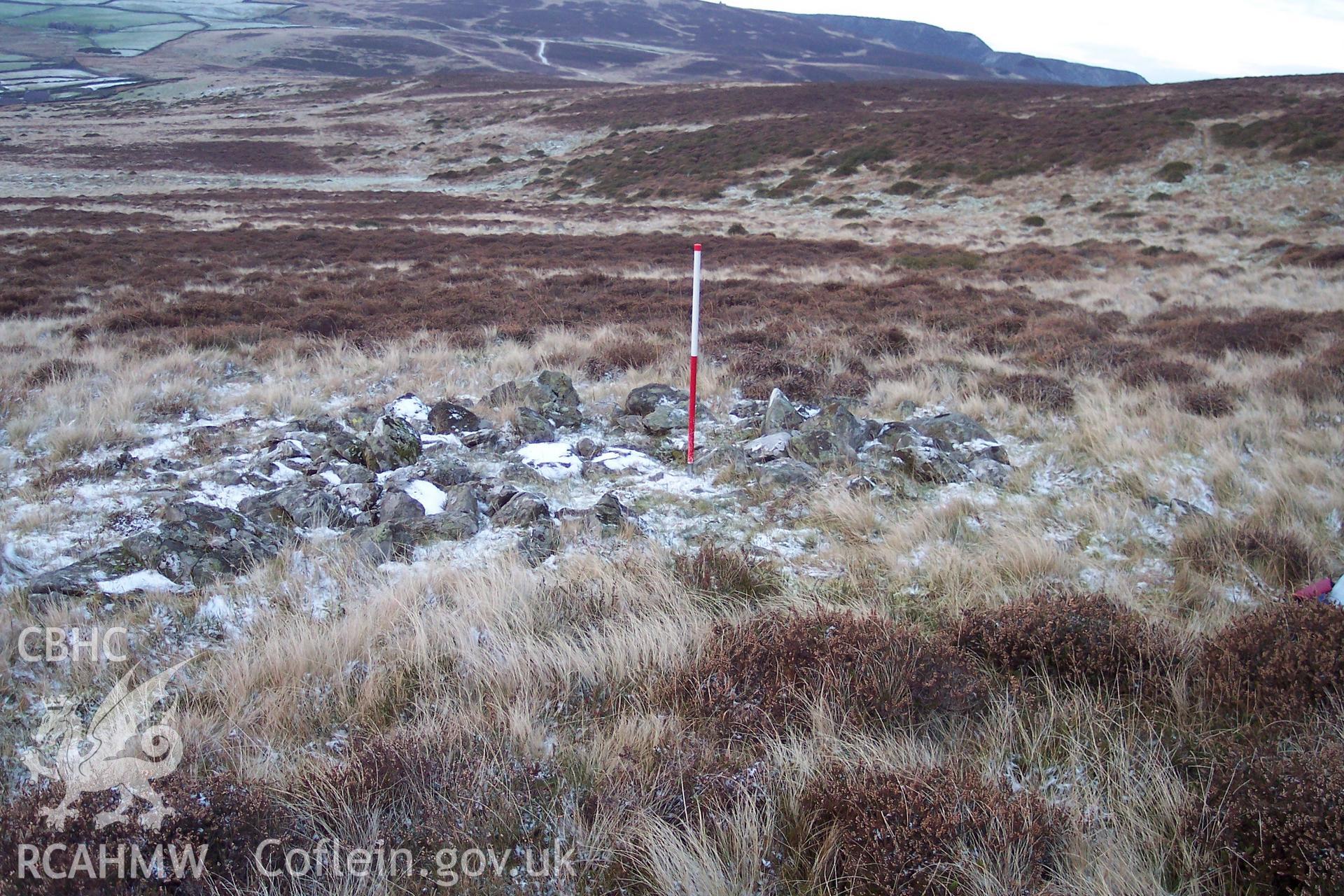 Photograph of Cairnfield south of Bryn Castell taken on 05/01/2006 by P.J. Schofield during an Upland Survey undertaken by Oxford Archaeology North.