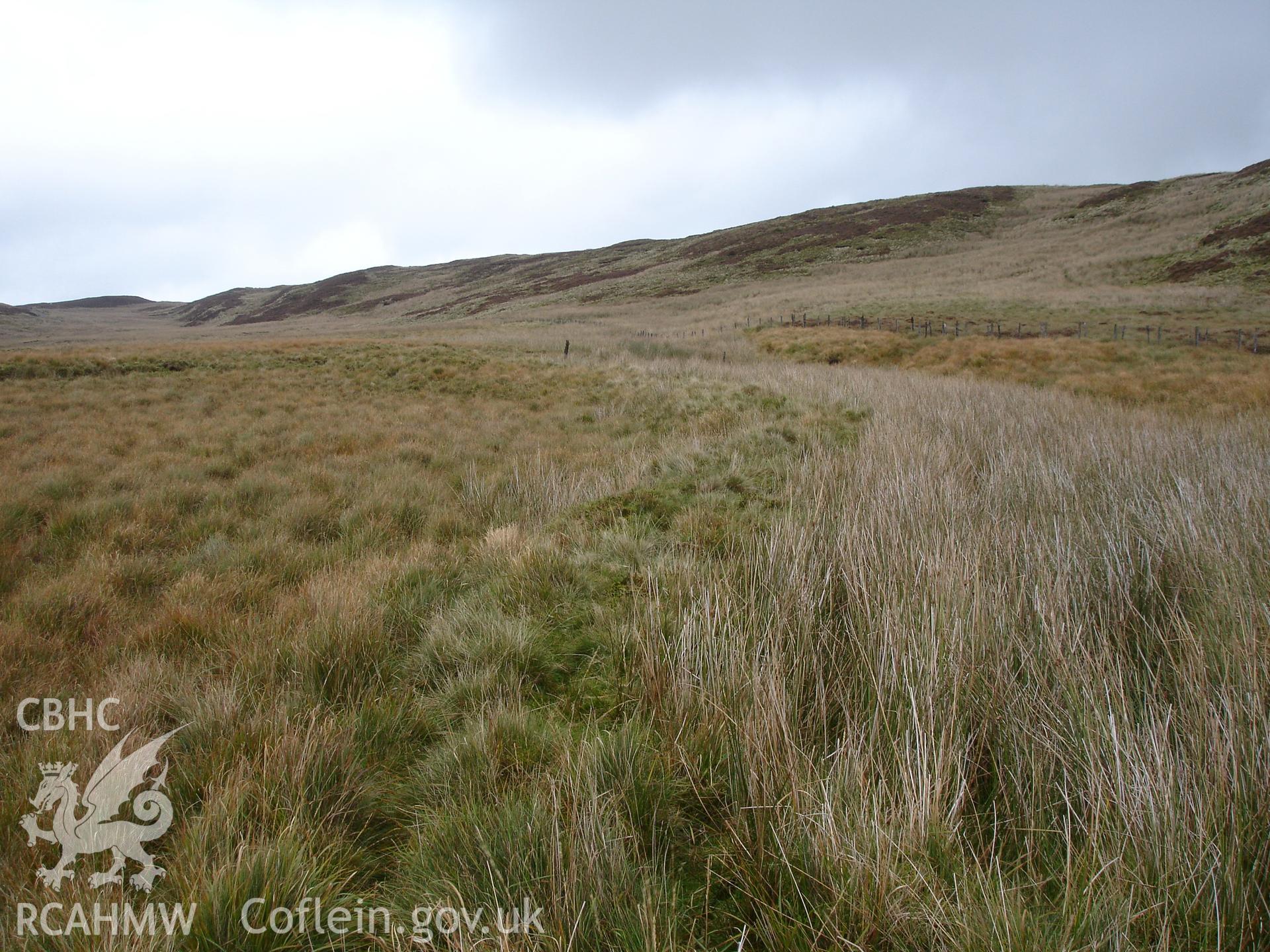Digital colour photograph of Bugeilyn earthwork bank II taken on 12/10/2006 by R.P. Sambrook during the Plynlimon Glaslyn South Upland survey undertaken by Trysor.