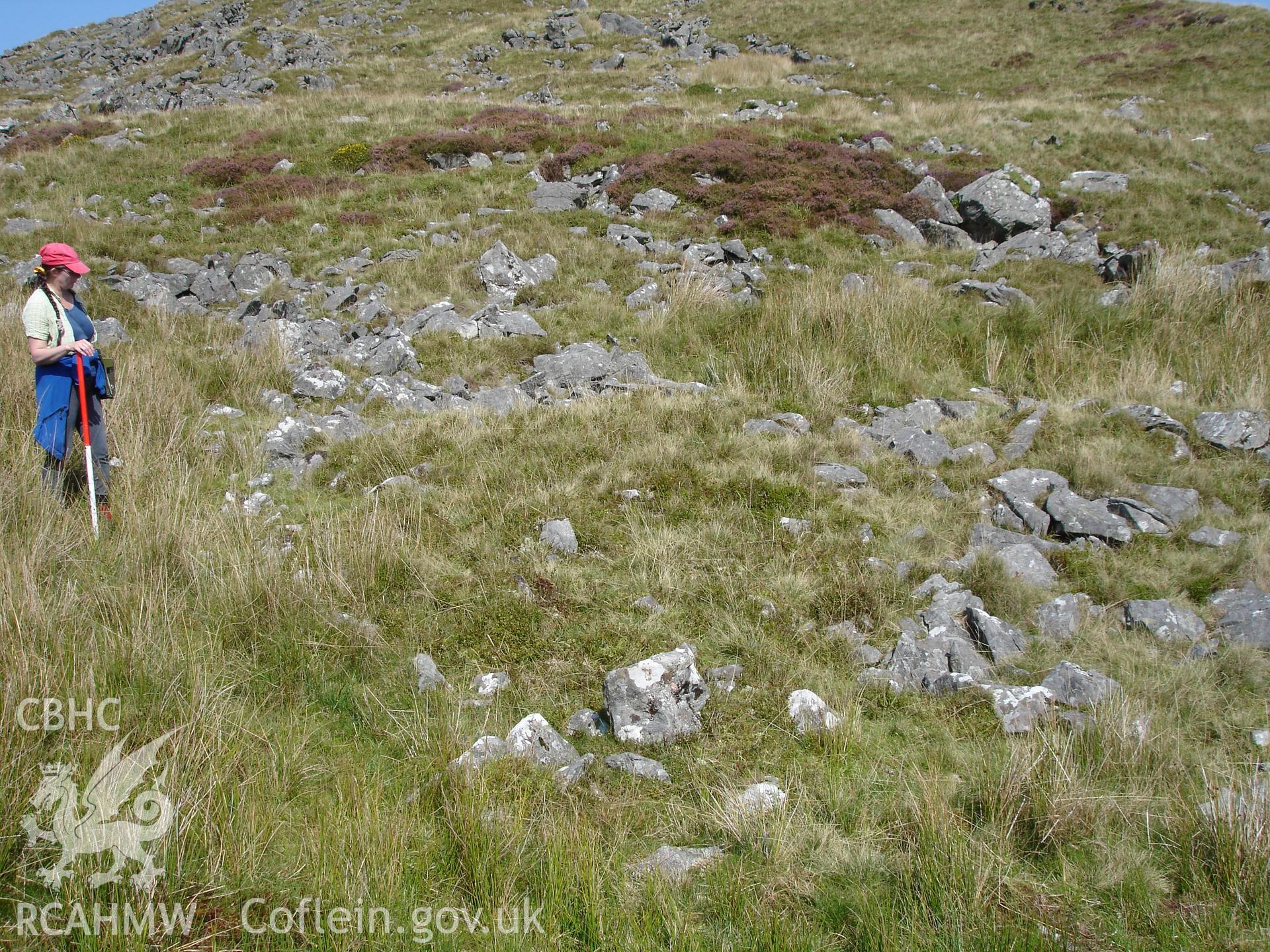 Digital colour photograph of Foel Isaf enclosure I taken on 10/09/2006 by R.P. Sambrook during the Plynlimon Glaslyn South Upland survey undertaken by Trysor.