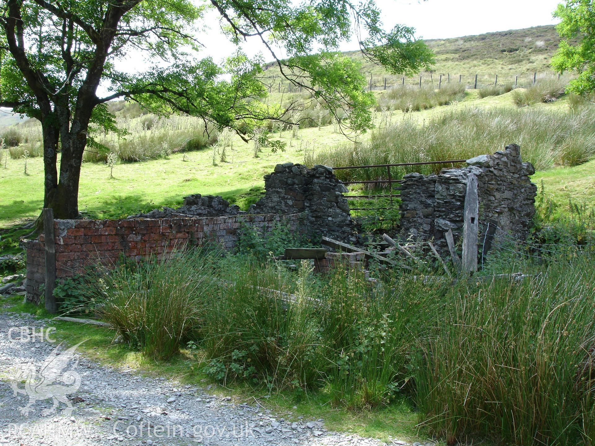 Digital colour photograph of a pigsty at Bugeilyn taken on 19/07/2006 by R.P. Sambrook during the Plynlimon Glaslyn South Upland survey undertaken by Trysor.