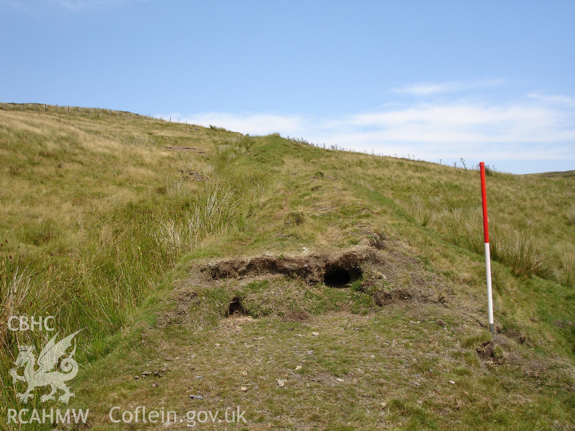 Digital colour photograph of Bugeilyn bank taken on 19/07/2006 by R.P. Sambrook during the Plynlimon Glaslyn South Upland survey undertaken by Trysor.