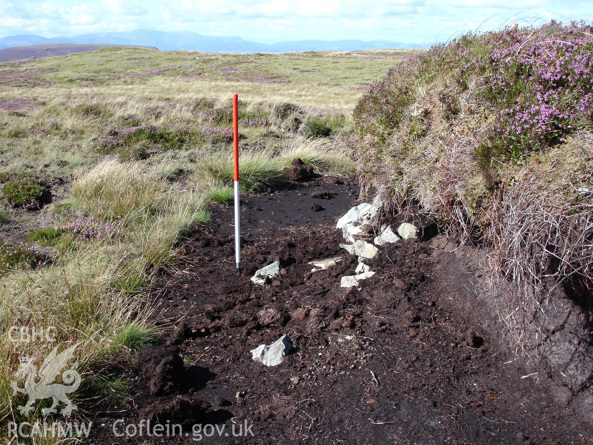 Digital colour photograph of Blaen Hafren cairn III taken on 24/08/2006 by R.P. Sambrook during the Plynlimon Glaslyn South Upland survey undertaken by Trysor.