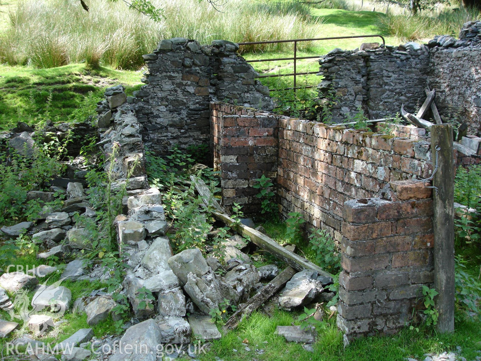 Digital colour photograph of a pigsty at Bugeilyn taken on 19/07/2006 by R.P. Sambrook during the Plynlimon Glaslyn South Upland survey undertaken by Trysor.