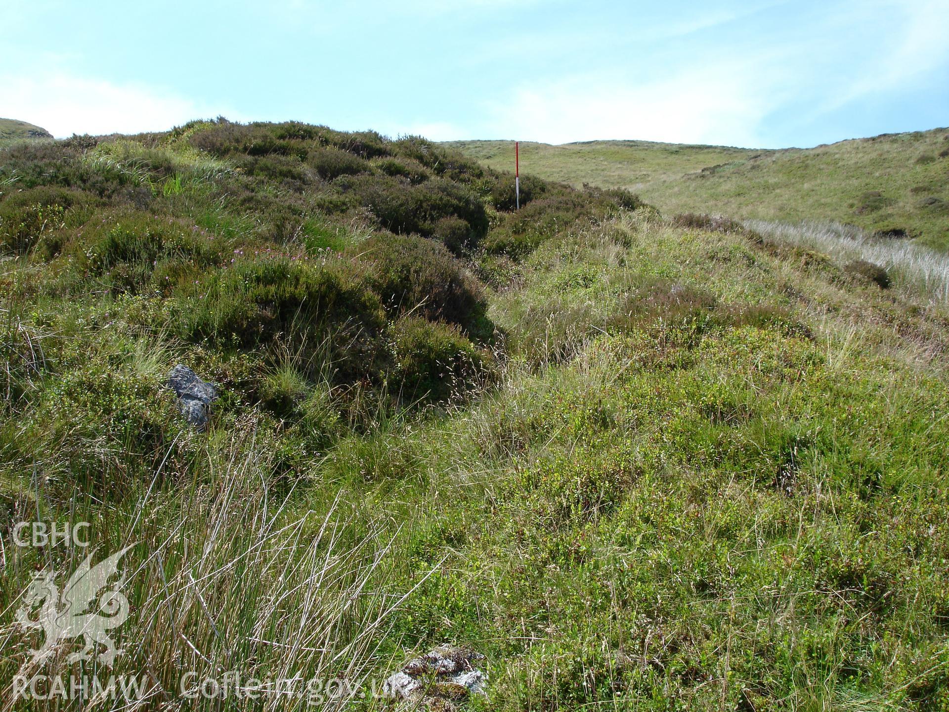 Digital colour photograph of Bugeilyn prospecting trench III taken on 19/07/2006 by R.P. Sambrook during the Plynlimon Glaslyn South Upland survey undertaken by Trysor.