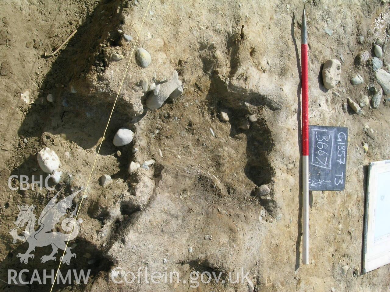 Digital photograph from excavation of Parc Bryn Cegin, Llandygai, by Gwynedd Archaeological Trust. [3667] after stone removed - post exc., from NNE (numbers refer to context records). Scale 1x1m.