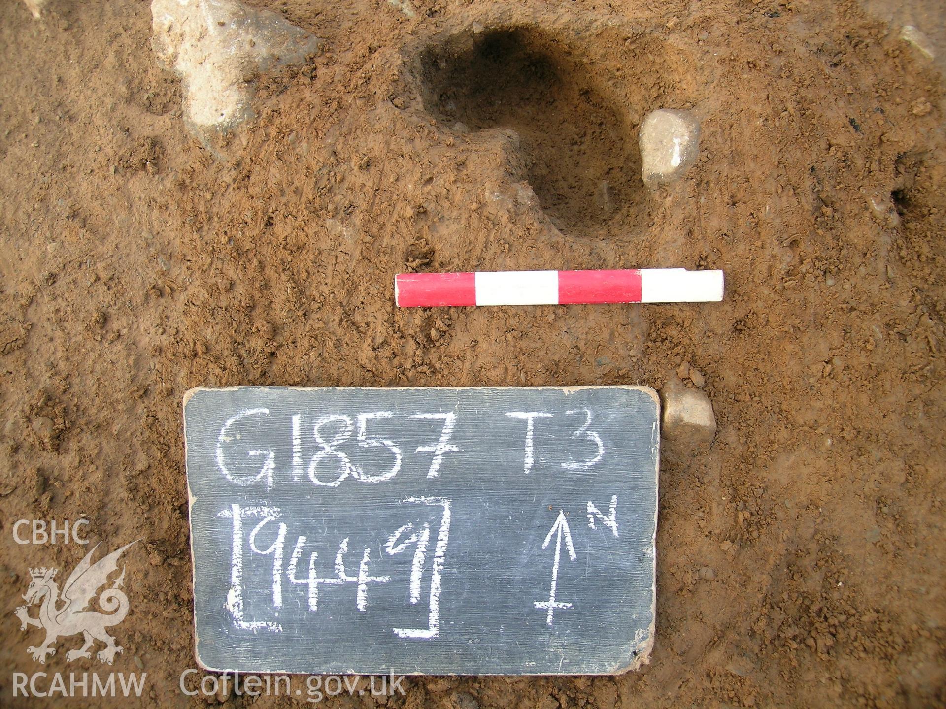 Digital photograph from excavation of Parc Bryn Cegin, Llandygai, by Gwynedd Archaeological Trust. stakehole 9449, from S (numbers refer to context records). Scale 0.2m.