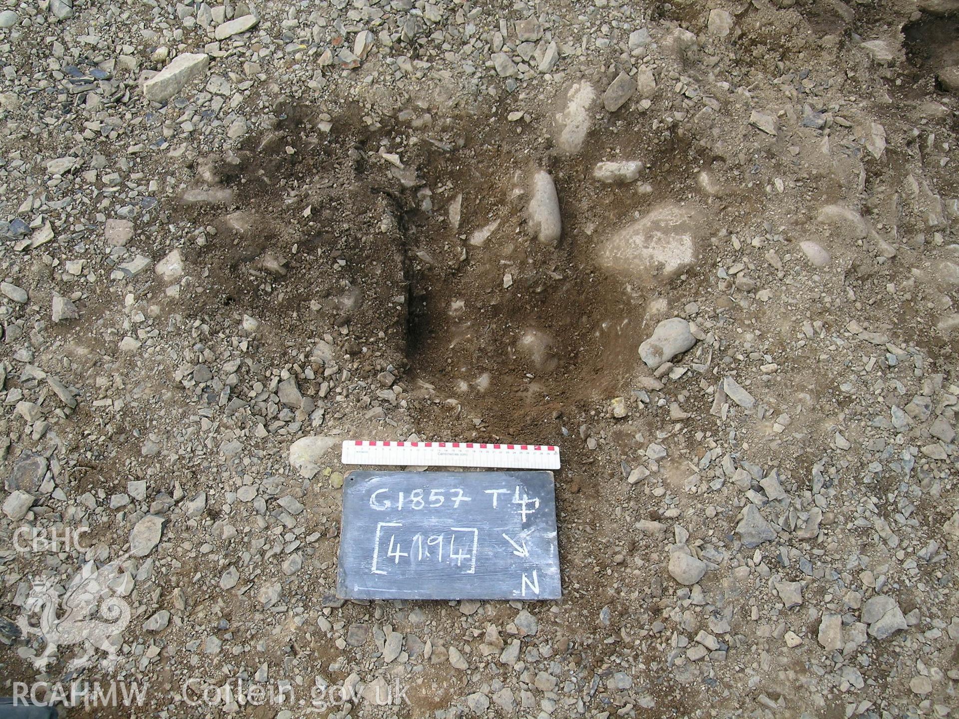 Digital photograph from excavation of Parc Bryn Cegin, Llandygai, by Gwynedd Archaeological Trust. 'Cut' [4194] & fill (4245), from NE (numbers refer to context records). Scale 1x0.3m.