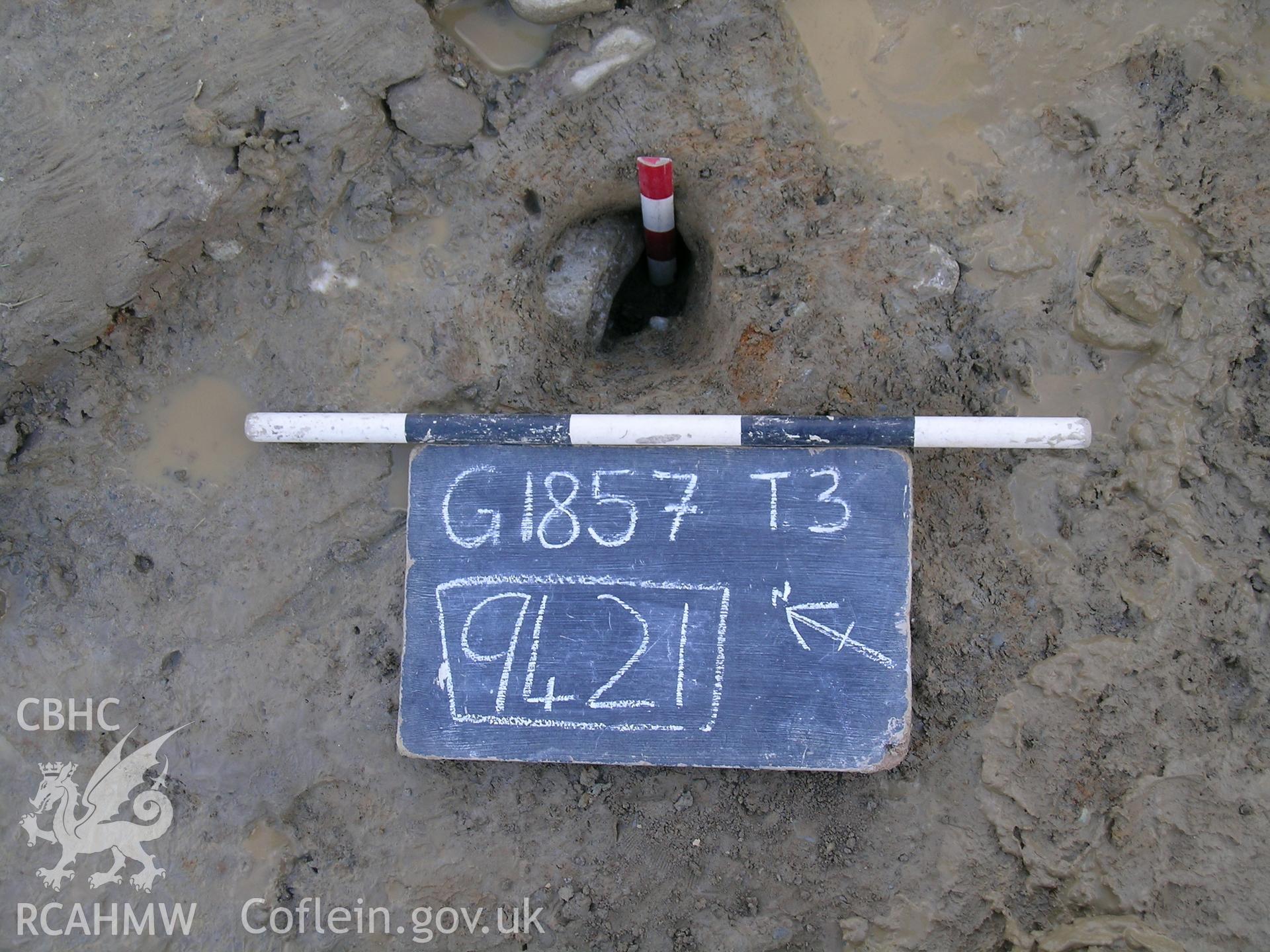 Photograph from excavation of Parc Bryn Cegin, Llandygai, by Gwynedd Archaeological Trust, no caption.