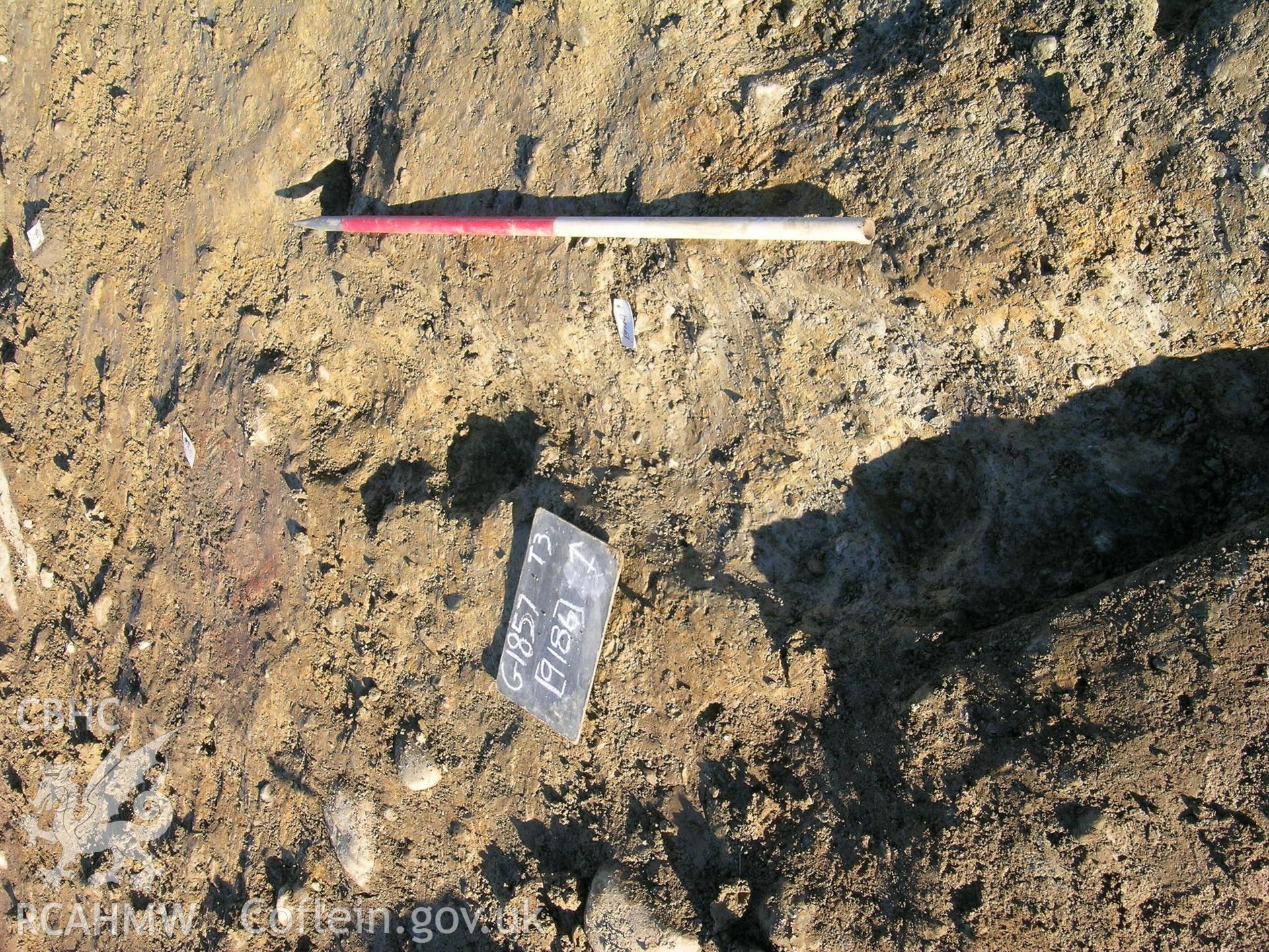 Digital photograph from excavation of Parc Bryn Cegin, Llandygai, by Gwynedd Archaeological Trust. Linear [9186] RHH, from S (numbers refer to context records). Scale 1x1m.