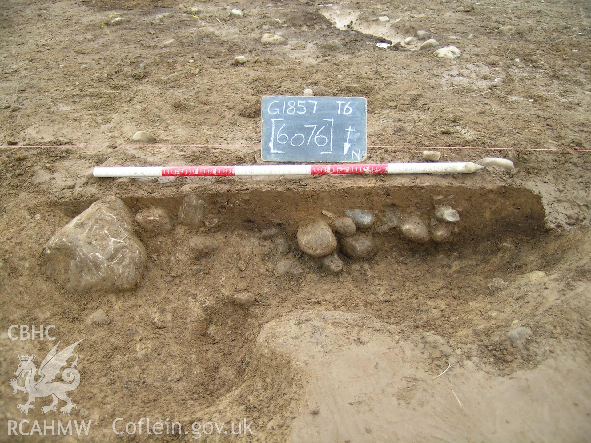 Digital photograph from excavation of Parc Bryn Cegin, Llandygai, by Gwynedd Archaeological Trust. Section through probable tree bowl [6076], from N (numbers refer to context records). Scale 1x1m.