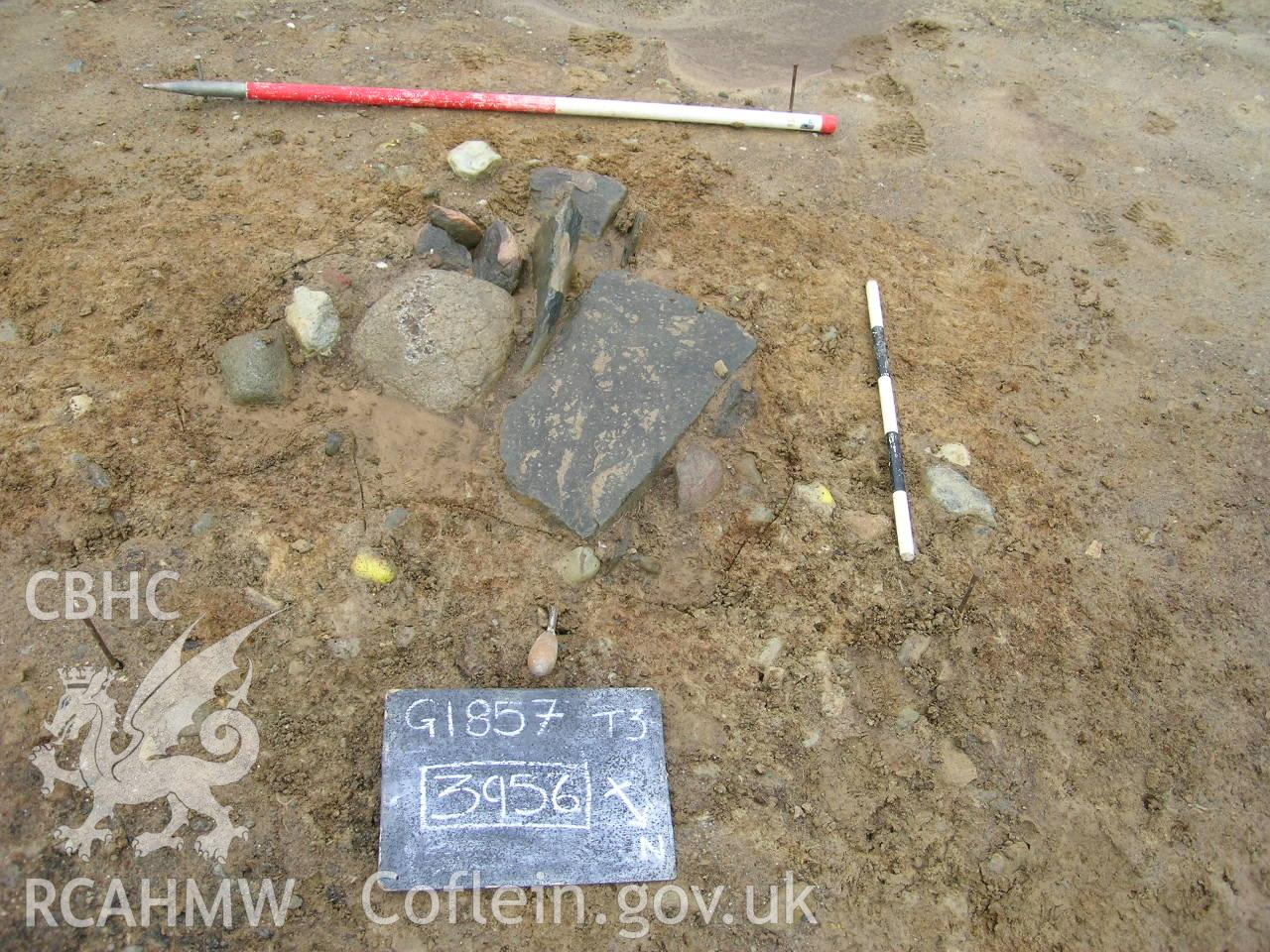 Digital photograph from excavation of Parc Bryn Cegin, Llandygai, by Gwynedd Archaeological Trust. Pre-exc of PH? [3954] (ID board incorrectly shows [3956]), from NE (numbers refer to context records). Scale 1x1m, 1x0.5m.