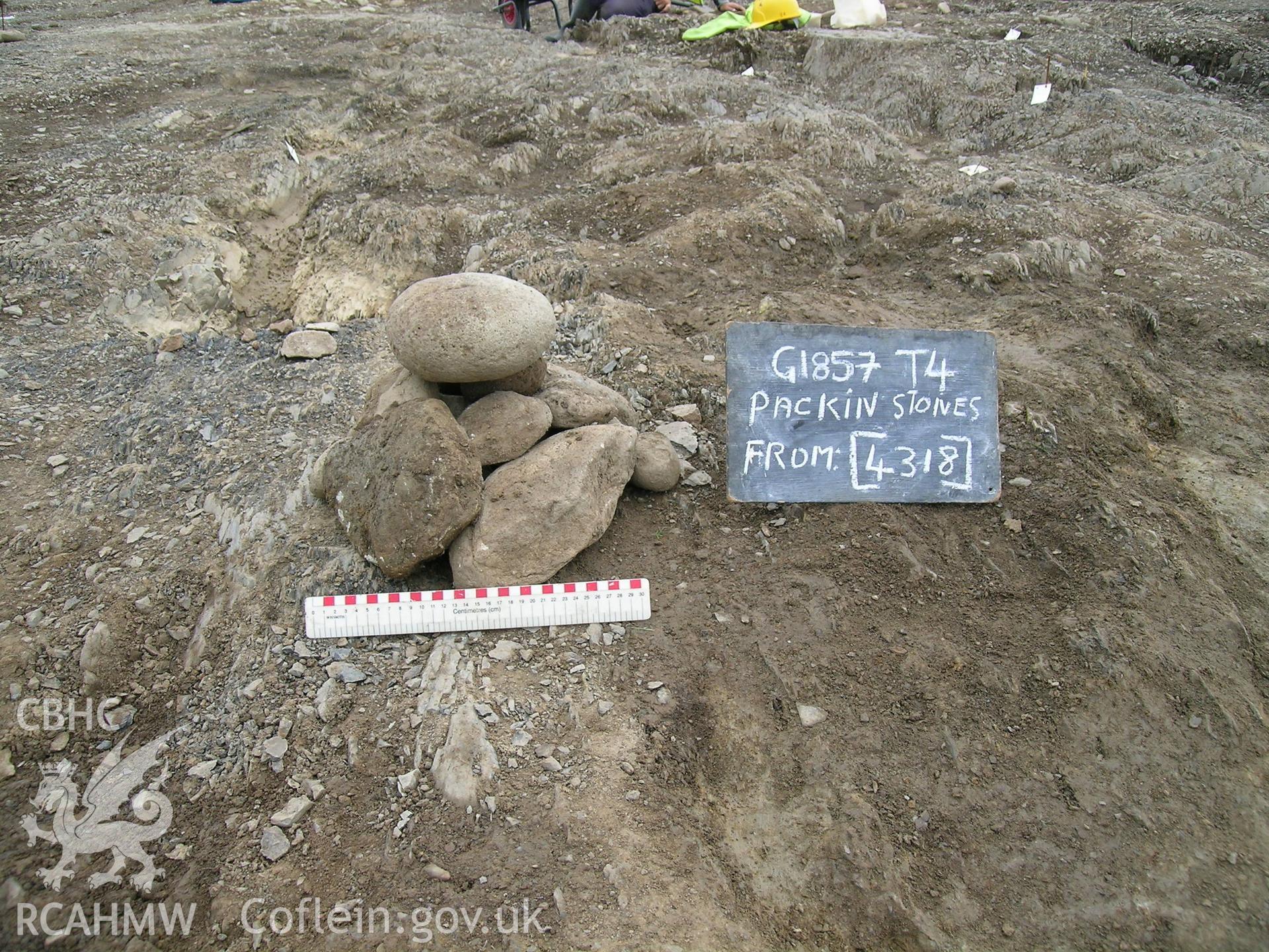Photograph from excavation of Parc Bryn Cegin, Llandygai, by Gwynedd Archaeological Trust, no caption.