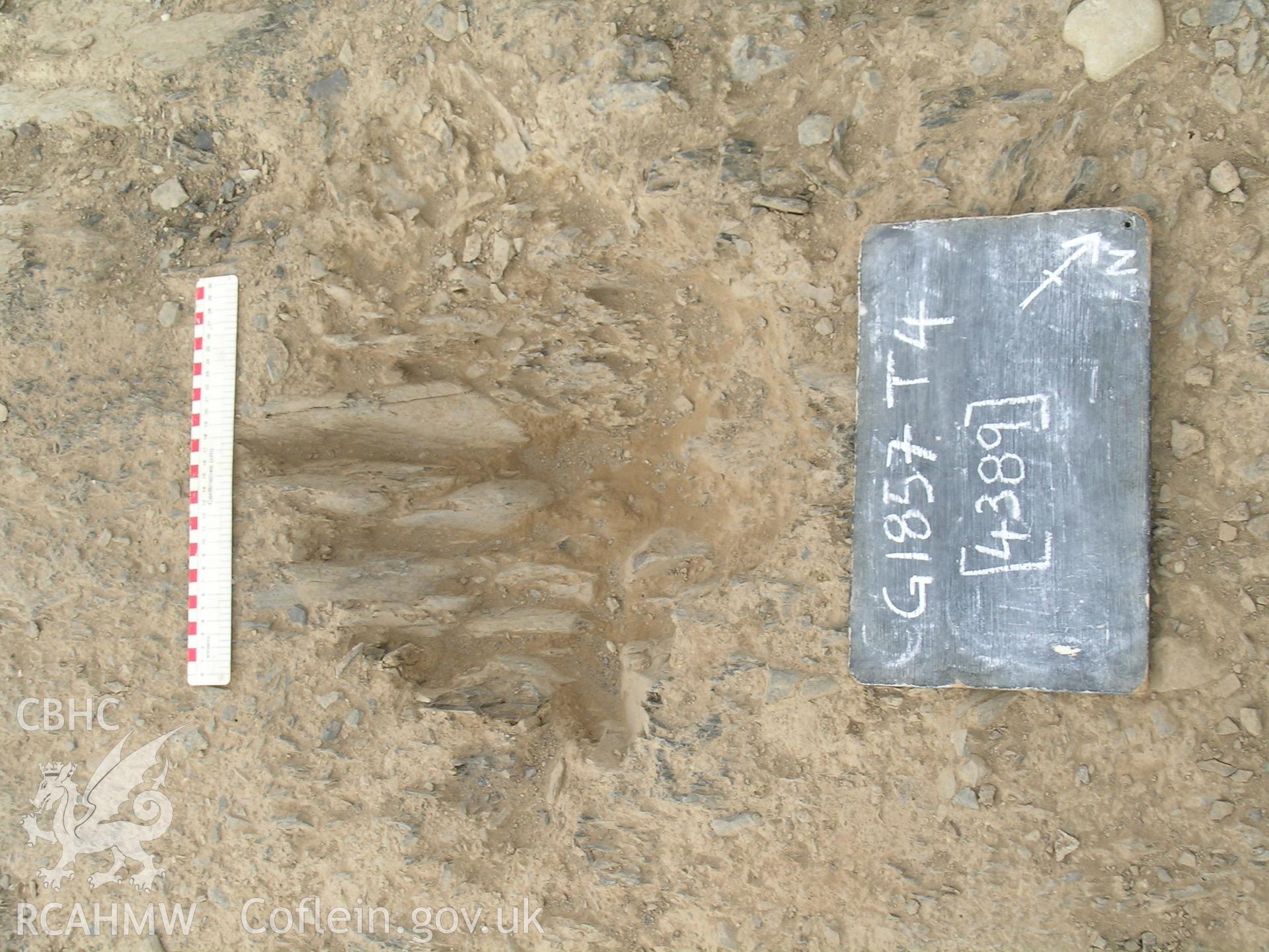 Digital photograph from excavation of Parc Bryn Cegin, Llandygai, by Gwynedd Archaeological Trust. PH [4389] post-exc., from NE (numbers refer to context records). Scale 1x0.3m.