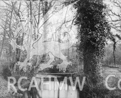 Digital copy of a black and white photograph showing a footbridge across a river on the Penllergare Estate.