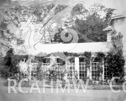 Digital copy of a black and white photograph of the Penllergare mansion conservatory.