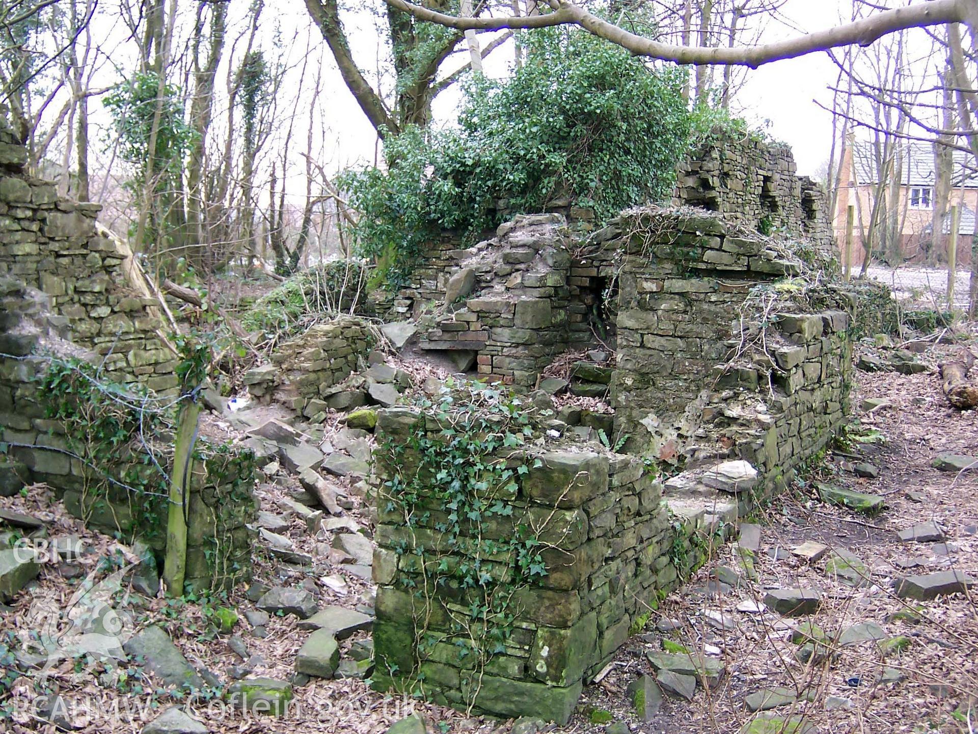 Digital colour photograph showing the remains of a ruined bothy at the Penllergare estate.