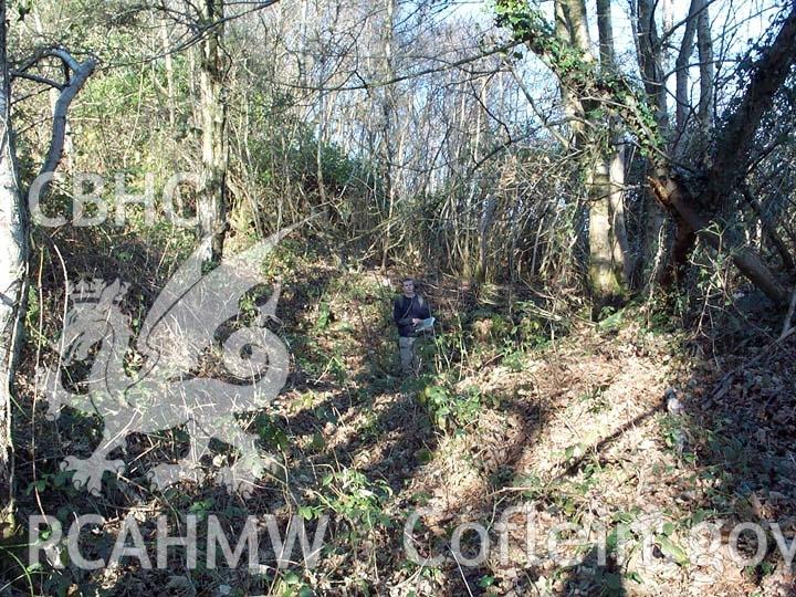 Digital colour photograph showing the site of a former coal mine at Penllergare.