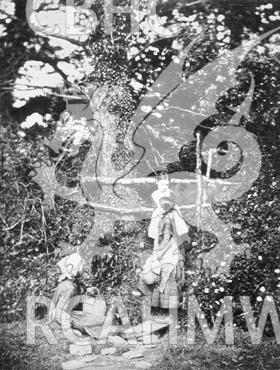 Digital copy of a black and white photograph of school children at Penllergare.
