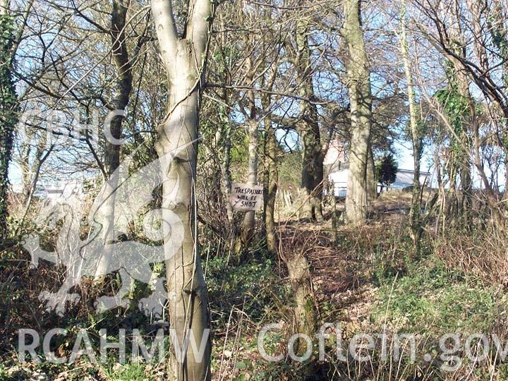 Digital colour photograph showing the park keeper's lodge at the Penllergare.