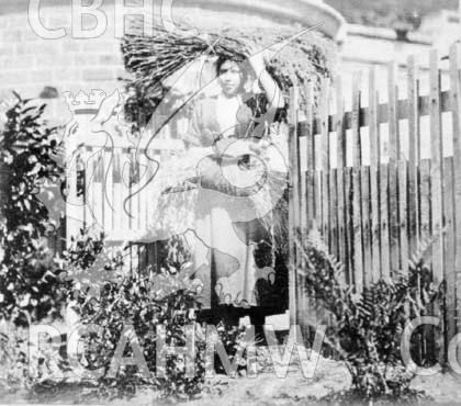 Digital copy of a black and white photograph of a haygirl, working on the Penllergare estate.
