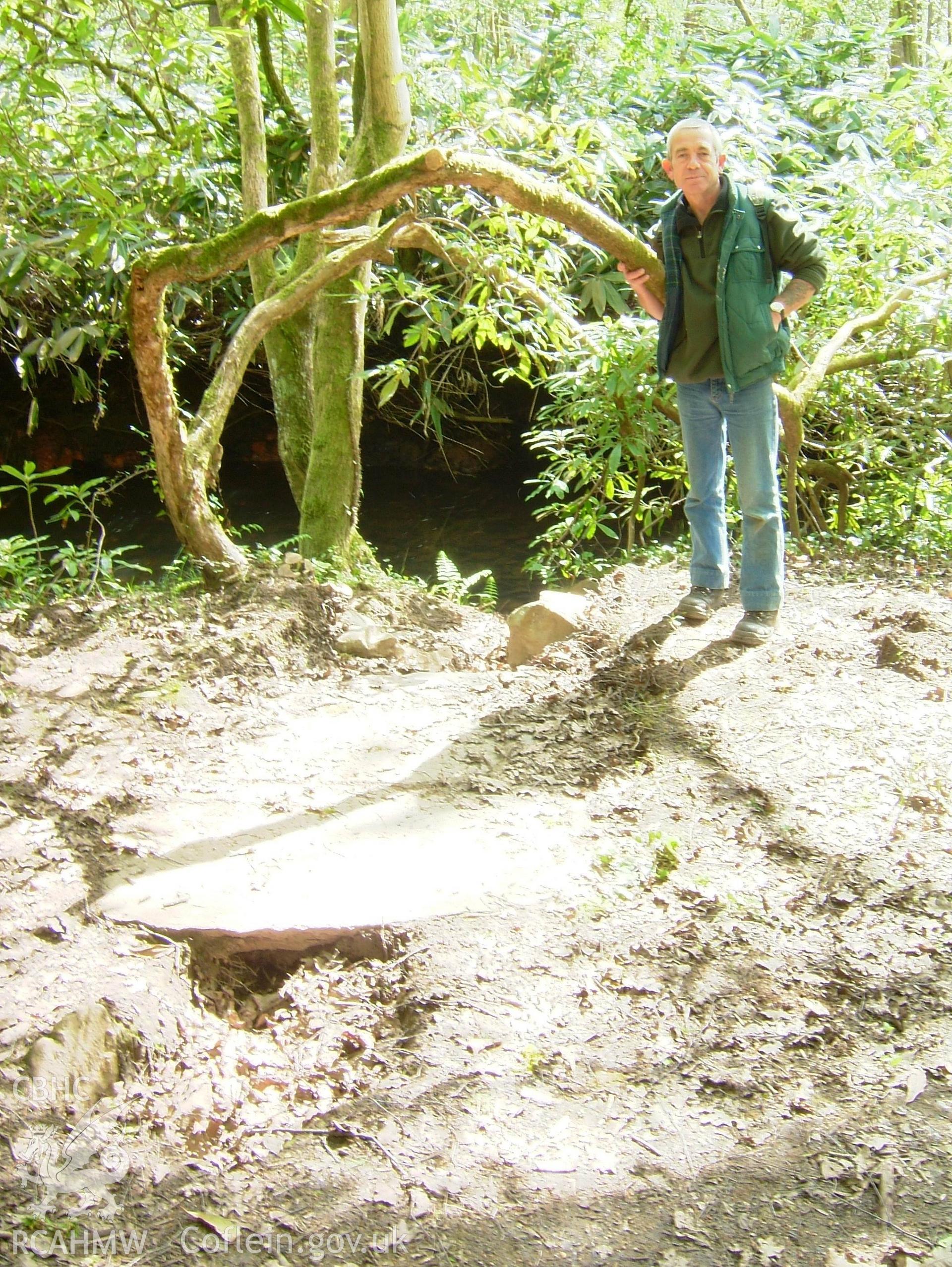 Digital colour photograph showing part of the Penllergare Estate.