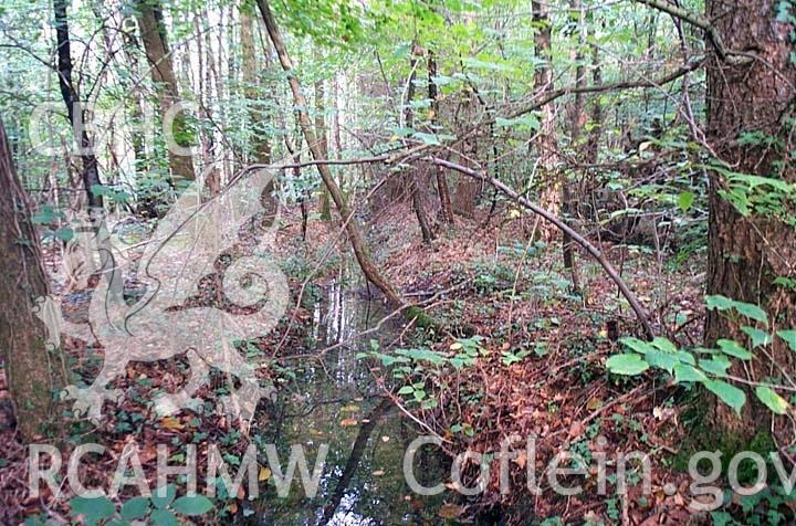 Digital colour photograph showing the leat at Penllergare.