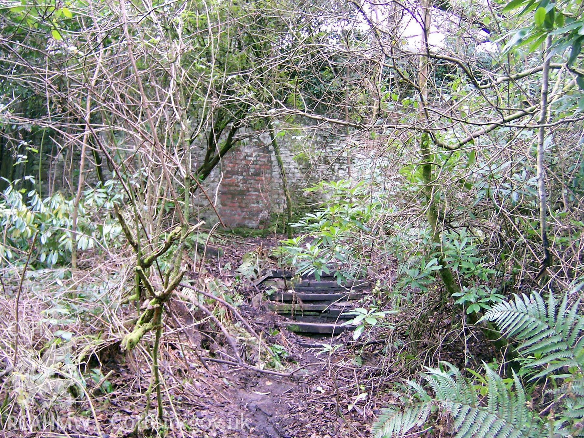 Digital colour photograph showing a set of disused steps leading up to the walled garden at the Penllergare estate.