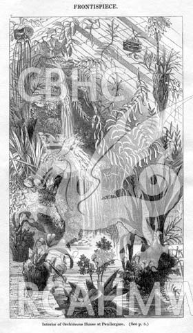 Digital copy of a black and white frontispiece depicting the interior of the Orchid house at Penllergare