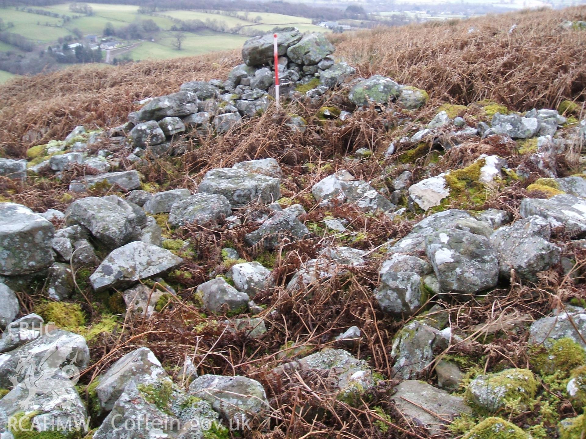 Digital colour photograph of a sheep fold at Blaen Cwmclaisfer II taken on 16/01/2009 by B. Britton during the Mynydd Llangynidr Upland Survey undertaken by ArchaeoPhysica.