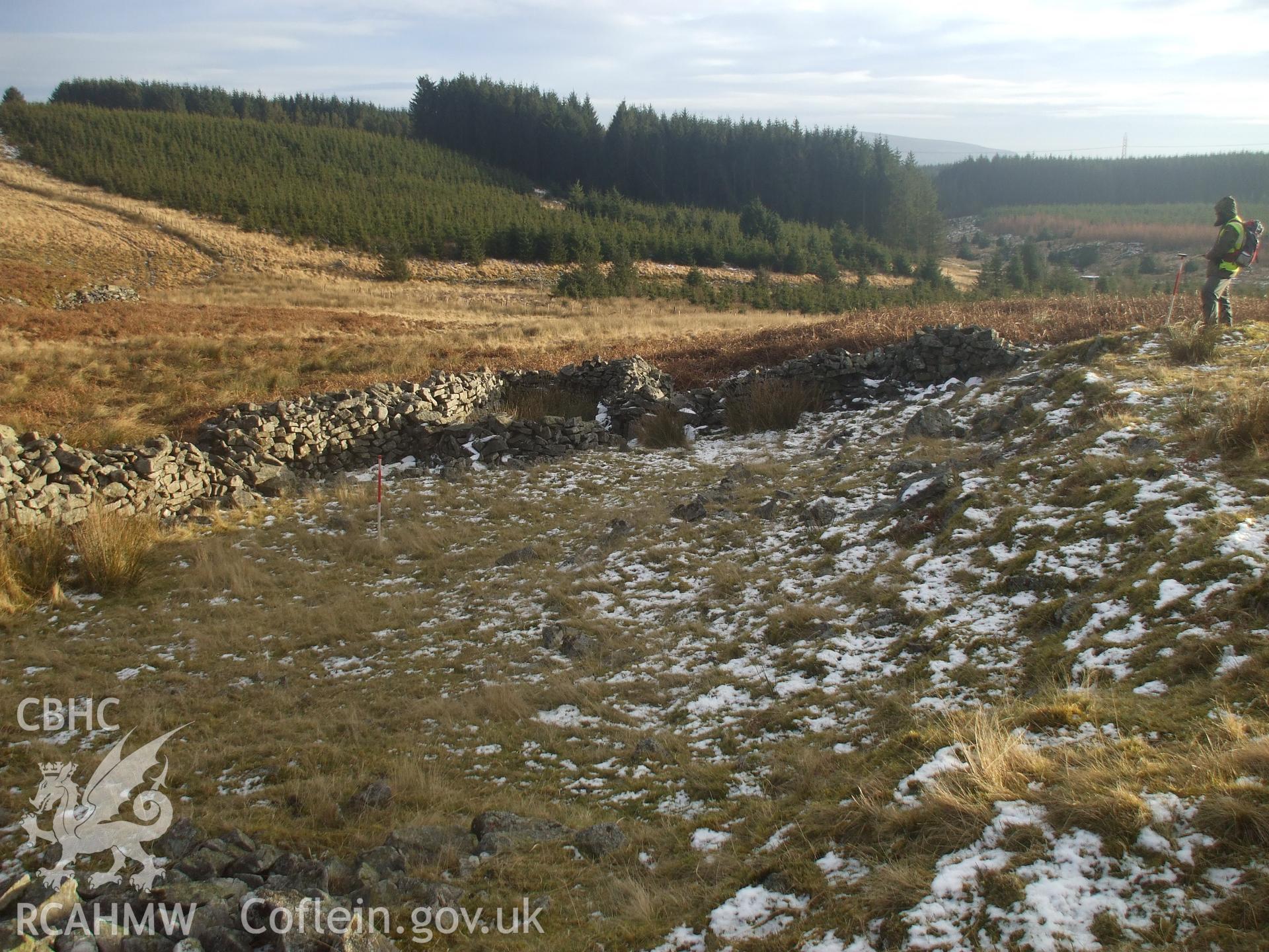 Digital colour photograph of a sheep fold at Mynydd Llangynidr east VIII taken on 07/01/2009 by G. Arnold during the Mynydd Llangynidr Upland Survey undertaken by ArchaeoPhysica.