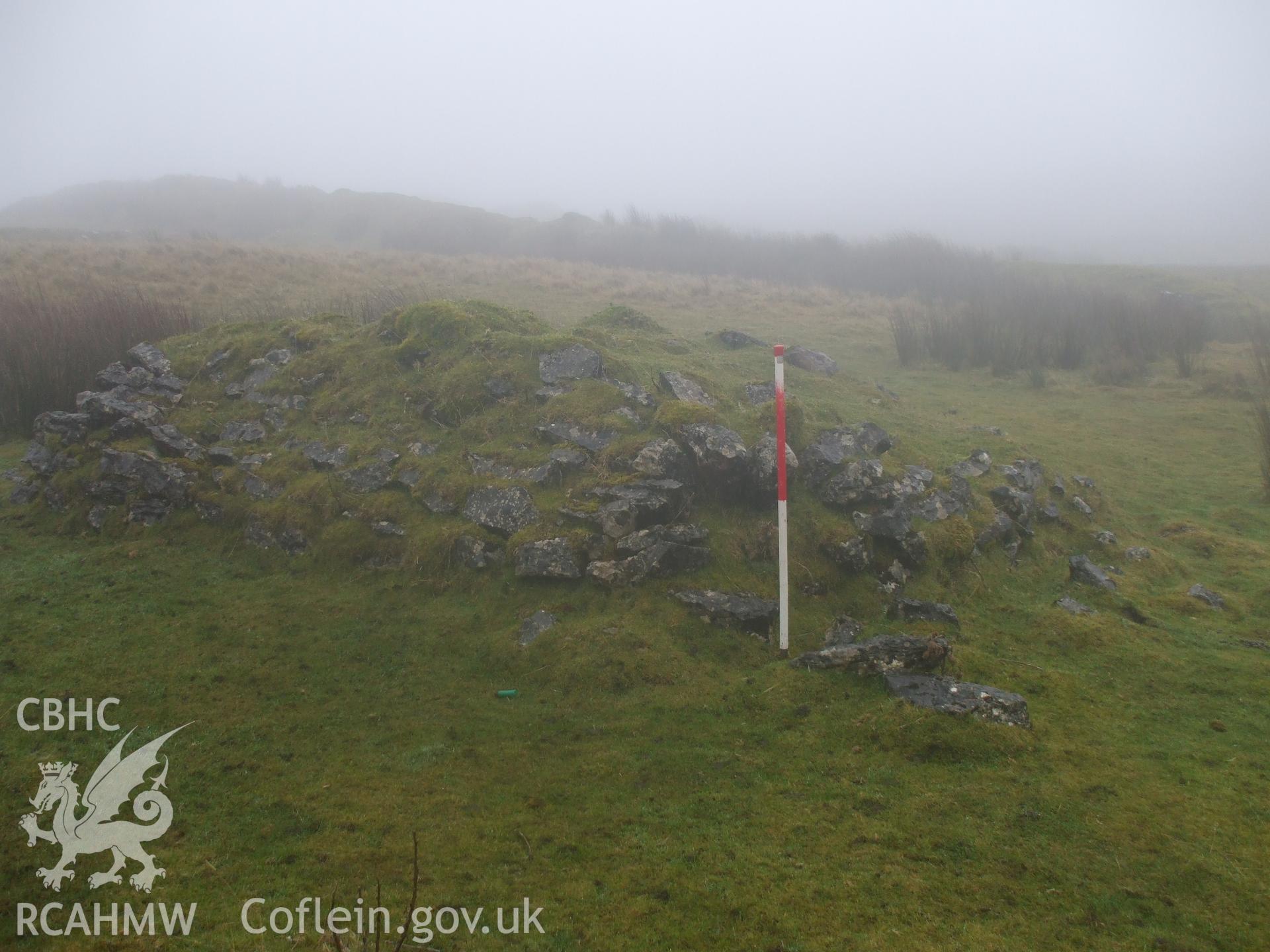 Digital colour photograph of a hafod at Ffos y Wern taken on 16/12/2008 by N. Paveley during the Mynydd Llangynidr Upland Survey undertaken by ArchaeoPhysica.